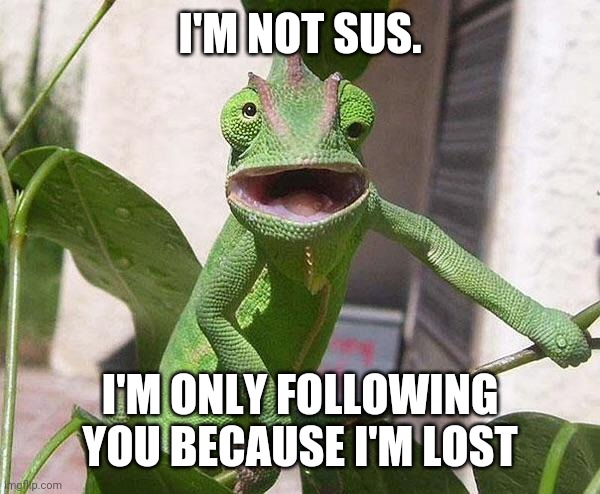 Crazy Chameleon | I'M NOT SUS. I'M ONLY FOLLOWING YOU BECAUSE I'M LOST | image tagged in crazy chameleon | made w/ Imgflip meme maker