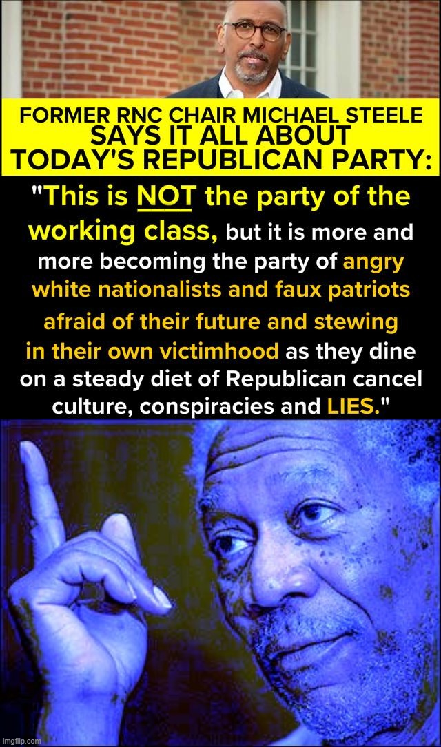 Nobody roasts the modern-day Republican Party like another Republican! | image tagged in michael steele on the republican party,morgan freeman this blue version,republicans,gop,republican party,republican | made w/ Imgflip meme maker
