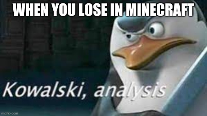 kowalski | WHEN YOU LOSE IN MINECRAFT | image tagged in kowalski analysis | made w/ Imgflip meme maker