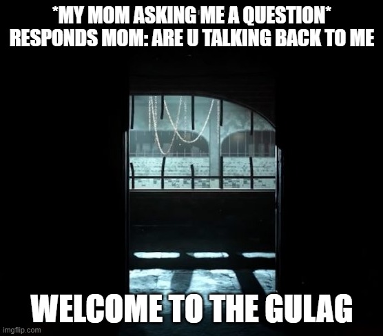 COD Gulag | *MY MOM ASKING ME A QUESTION* RESPONDS MOM: ARE U TALKING BACK TO ME; WELCOME TO THE GULAG | image tagged in cod gulag | made w/ Imgflip meme maker