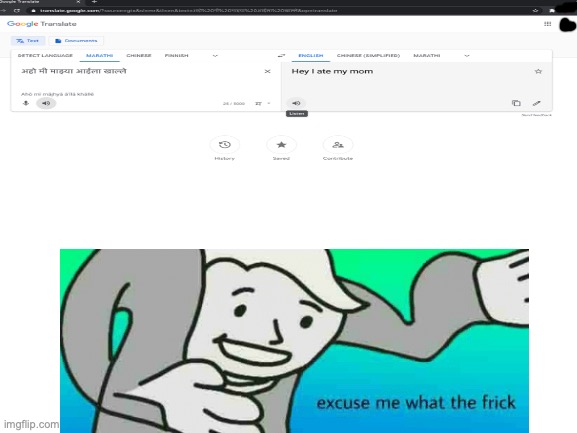 excuse me what the frick | image tagged in excuse me what the frick,google translate | made w/ Imgflip meme maker