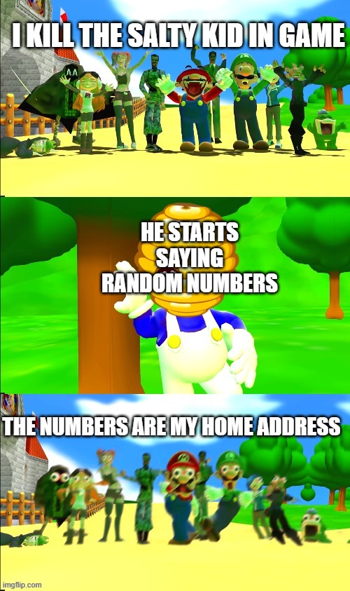 New template! And I thought I was running out of ideas? I FELL SO ALIVE!!! | I KILL THE SALTY KID IN GAME; HE STARTS SAYING RANDOM NUMBERS; THE NUMBERS ARE MY HOME ADDRESS | image tagged in smg4 bee panic,smg4 | made w/ Imgflip meme maker