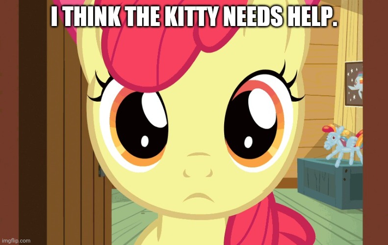 Confused Applebloom (MLP) | I THINK THE KITTY NEEDS HELP. | image tagged in confused applebloom mlp | made w/ Imgflip meme maker