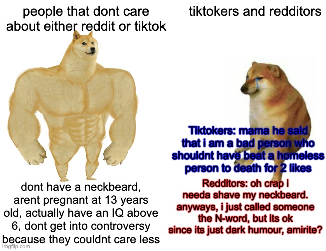 Buff Doge vs. Cheems Meme | people that dont care about either reddit or tiktok; tiktokers and redditors; Tiktokers: mama he said that i am a bad person who shouldnt have beat a homeless person to death for 2 likes; Redditors: oh crap i needa shave my neckbeard. anyways, i just called someone the N-word, but its ok since its just dark humour, amirite? dont have a neckbeard, arent pregnant at 13 years old, actually have an IQ above 6, dont get into controversy because they couldnt care less | image tagged in memes,buff doge vs cheems | made w/ Imgflip meme maker