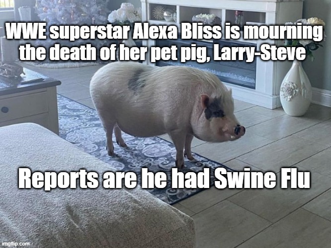 WWE superstar Alexa Bliss's Pet Pig Dies | WWE superstar Alexa Bliss is mourning the death of her pet pig, Larry-Steve; Reports are he had Swine Flu | image tagged in pet pig,wwe,funny | made w/ Imgflip meme maker
