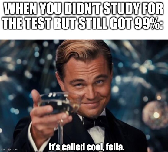 Have you done this before? | WHEN YOU DIDN’T STUDY FOR THE TEST BUT STILL GOT 99%:; It’s called cool, fella. | image tagged in memes,leonardo dicaprio cheers | made w/ Imgflip meme maker
