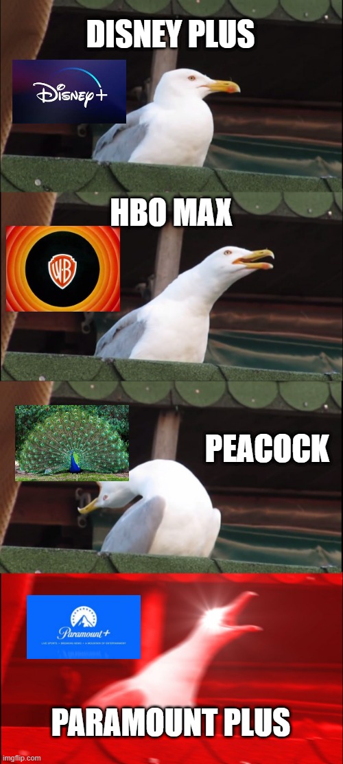 streaming studios | DISNEY PLUS; HBO MAX; PEACOCK; PARAMOUNT PLUS | image tagged in memes,inhaling seagull | made w/ Imgflip meme maker