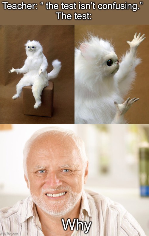 Does anybody even look at the titles anymore? | Teacher: “ the test isn’t confusing.” 
The test:; Why | image tagged in memes,persian cat room guardian,awkward smiling old man | made w/ Imgflip meme maker