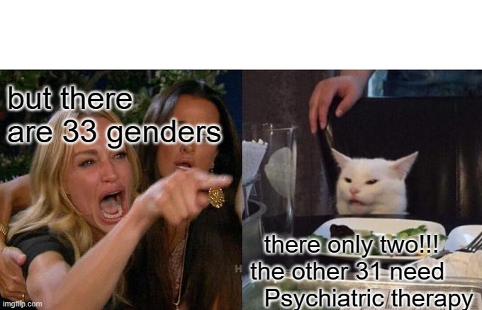 Woman Yelling At Cat Meme | but there are 33 genders; there only two!!! the other 31 need   Psychiatric therapy | image tagged in memes,woman yelling at cat | made w/ Imgflip meme maker