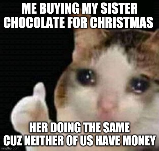 sad thumbs up cat | ME BUYING MY SISTER CHOCOLATE FOR CHRISTMAS; HER DOING THE SAME CUZ NEITHER OF US HAVE MONEY | image tagged in sad thumbs up cat | made w/ Imgflip meme maker