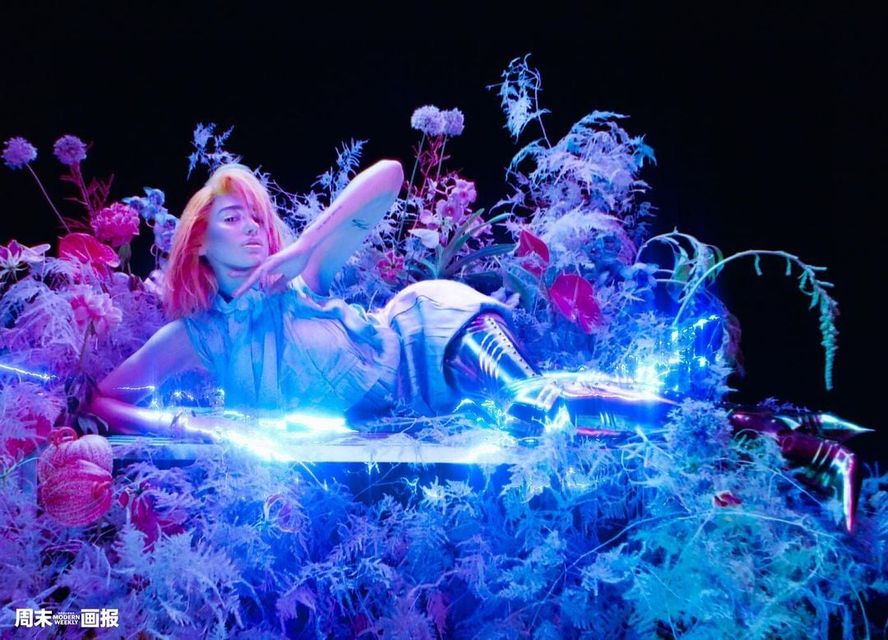 Dua Lipa u got a beyblade Blank Meme Template