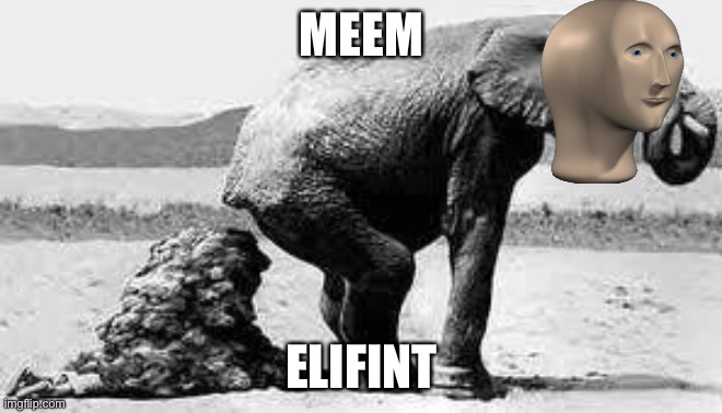 Elephant Poopy | MEEM ELIFINT | image tagged in elephant poopy | made w/ Imgflip meme maker