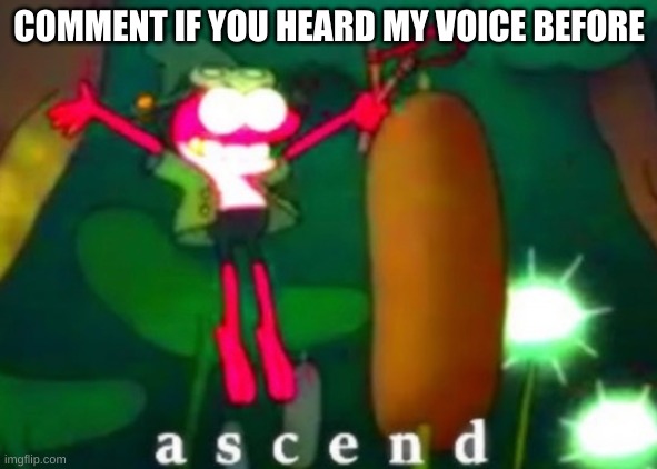 i sang fingers in his ass once and posted it on the stream | COMMENT IF YOU HEARD MY VOICE BEFORE | image tagged in sprig ascends | made w/ Imgflip meme maker