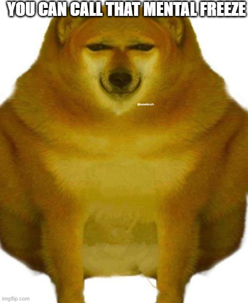 Mental Freeze | YOU CAN CALL THAT MENTAL FREEZE | image tagged in memes,doge | made w/ Imgflip meme maker