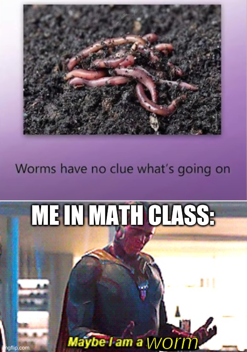 ME IN MATH CLASS:; worm | image tagged in maybe i am a monster | made w/ Imgflip meme maker