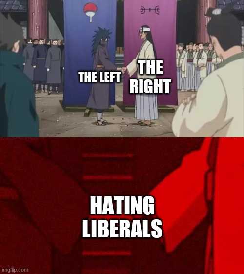 I'm not wrong, though... | THE RIGHT; THE LEFT; HATING LIBERALS | image tagged in naruto handshake meme template | made w/ Imgflip meme maker