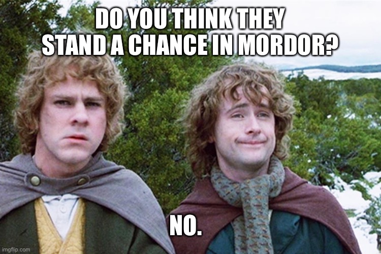 hobbits | DO YOU THINK THEY STAND A CHANCE IN MORDOR? NO. | image tagged in hobbits | made w/ Imgflip meme maker