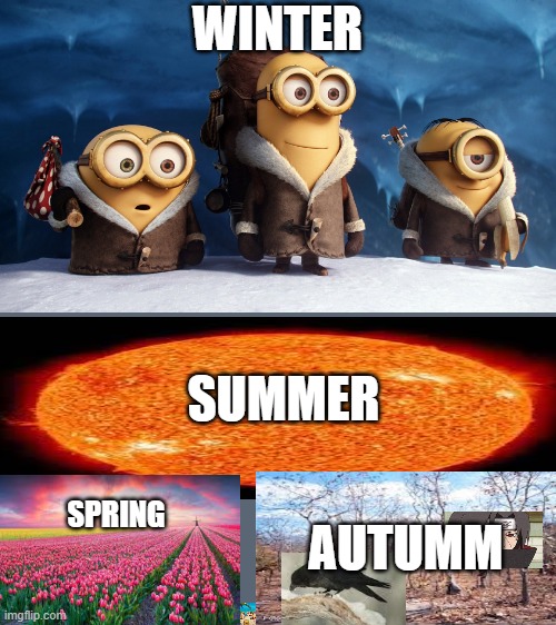 WINTER; SUMMER; AUTUMM; SPRING | image tagged in funny,minnions,summer,autumn,spring,winter | made w/ Imgflip meme maker