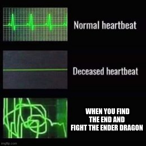 intensifies | WHEN YOU FIND THE END AND FIGHT THE ENDER DRAGON | image tagged in heartbeat rate | made w/ Imgflip meme maker