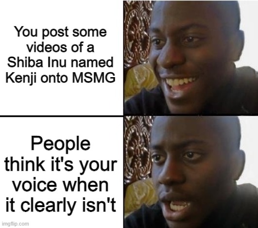 surpried disapointed man | You post some videos of a Shiba Inu named Kenji onto MSMG; People think it's your voice when it clearly isn't | image tagged in surpried disapointed man | made w/ Imgflip meme maker