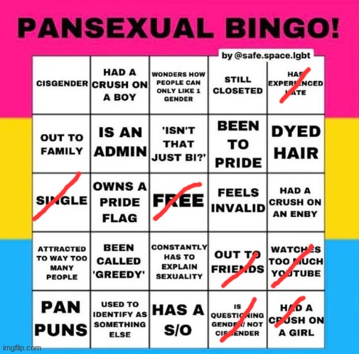 well, im not pan so that explains that... | image tagged in pansexual bingo | made w/ Imgflip meme maker