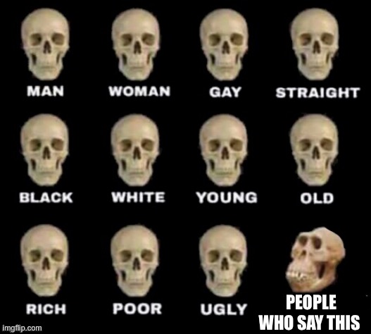 idiot skull | PEOPLE WHO SAY THIS | image tagged in idiot skull | made w/ Imgflip meme maker