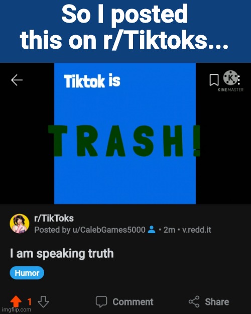These 14yos will be angry. LOL! | So I posted this on r/Tiktoks... | made w/ Imgflip meme maker