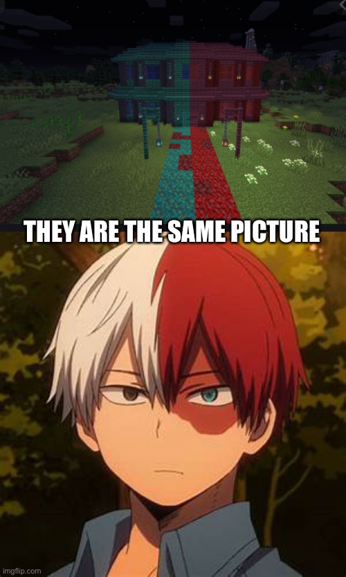 todoroki=1.16 houses | THEY ARE THE SAME PICTURE | image tagged in todoroki | made w/ Imgflip meme maker