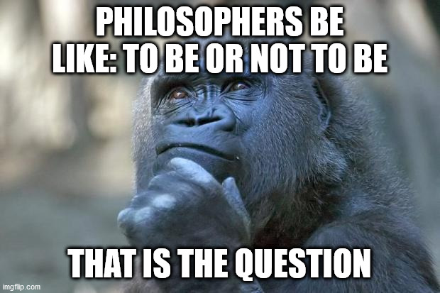 that is the question | PHILOSOPHERS BE LIKE: TO BE OR NOT TO BE; THAT IS THE QUESTION | image tagged in that is the question | made w/ Imgflip meme maker