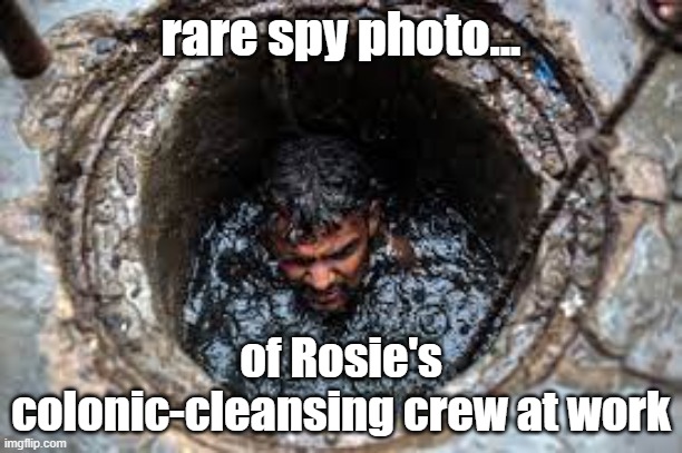 Rosie O'Donnell's colon cleaning crew | rare spy photo... of Rosie's colonic-cleansing crew at work | image tagged in india sewer cleaner,spy,celebrity | made w/ Imgflip meme maker