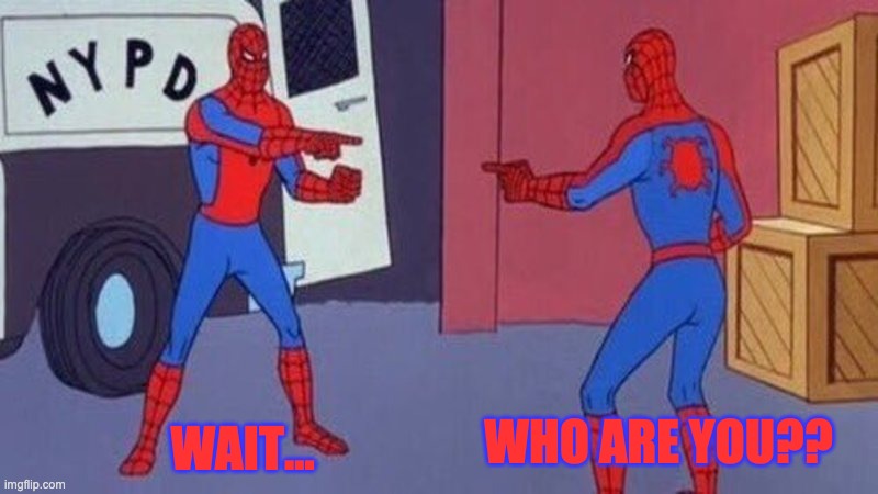 Who is you? | WHO ARE YOU?? WAIT... | image tagged in spiderman pointing at spiderman | made w/ Imgflip meme maker