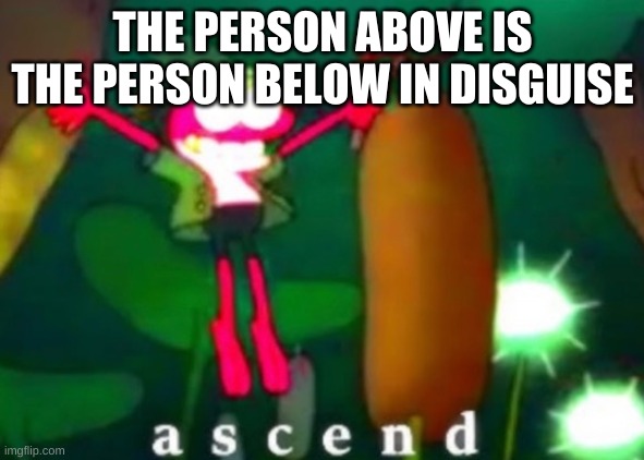 Sprig Ascends | THE PERSON ABOVE IS THE PERSON BELOW IN DISGUISE | image tagged in sprig ascends | made w/ Imgflip meme maker
