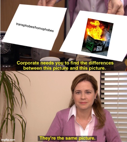 They're The Same Picture | transphobes/homophobes | image tagged in memes,they're the same picture | made w/ Imgflip meme maker