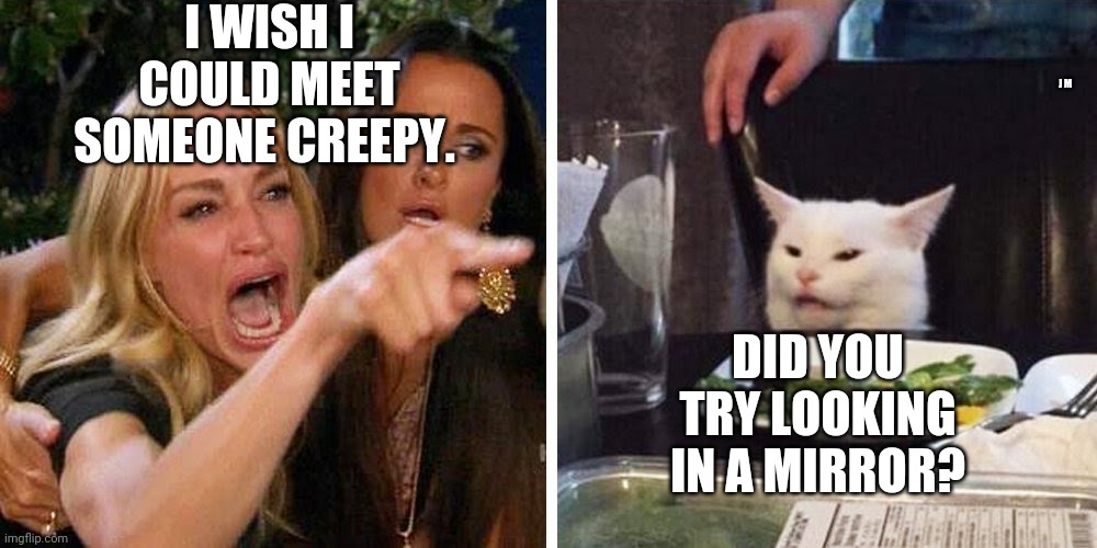 Smudge the cat | I WISH I COULD MEET SOMEONE CREEPY. J M; DID YOU TRY LOOKING IN A MIRROR? | image tagged in smudge the cat | made w/ Imgflip meme maker