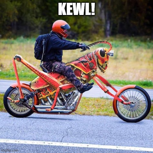 KEWL! | made w/ Imgflip meme maker