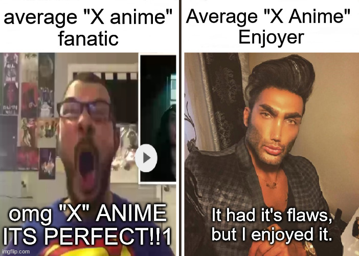Be a chad, pls... | average "X anime"
fanatic; Average "X Anime" 
Enjoyer; omg "X" ANIME ITS PERFECT!!1; It had it's flaws, but I enjoyed it. | image tagged in average fan vs average enjoyer,anime | made w/ Imgflip meme maker