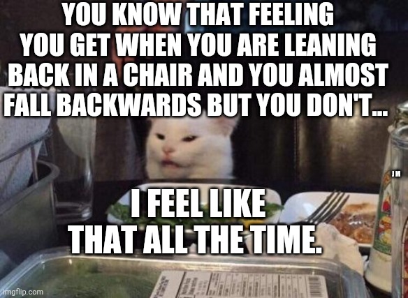 Salad cat | YOU KNOW THAT FEELING YOU GET WHEN YOU ARE LEANING BACK IN A CHAIR AND YOU ALMOST FALL BACKWARDS BUT YOU DON'T... I FEEL LIKE THAT ALL THE TIME. J M | image tagged in salad cat | made w/ Imgflip meme maker