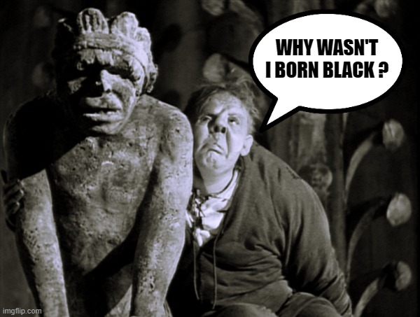 If Victor Hugo was writing the Hunchback of Notre Dame in the Democrats vision for America | WHY WASN'T I BORN BLACK ? | image tagged in the hunchback,president biden approves,diversity,america 2022,liberals vs conservatives,birthday wishes | made w/ Imgflip meme maker
