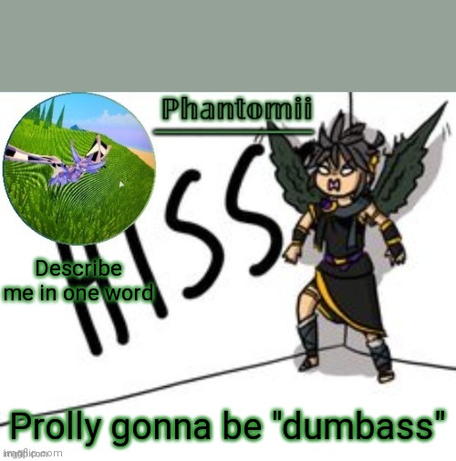 Phantomii's Template | Describe me in one word; Prolly gonna be "dumbass" | image tagged in phantomii's template | made w/ Imgflip meme maker