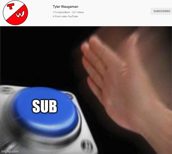 SUB | image tagged in memes,blank nut button | made w/ Imgflip meme maker