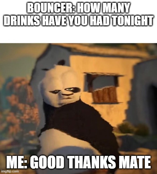 Drunk Kung Fu Panda | BOUNCER: HOW MANY DRINKS HAVE YOU HAD TONIGHT; ME: GOOD THANKS MATE | image tagged in drunk kung fu panda | made w/ Imgflip meme maker