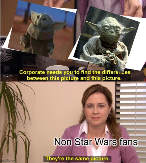 Which is why he was called Baby Yoda. | Non Star Wars fans | image tagged in memes,they're the same picture,baby yoda,star wars yoda,star wars | made w/ Imgflip meme maker