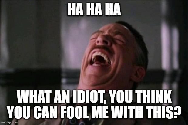 ha ha ha ha  | HA HA HA WHAT AN IDIOT, YOU THINK YOU CAN FOOL ME WITH THIS? | image tagged in ha ha ha ha | made w/ Imgflip meme maker