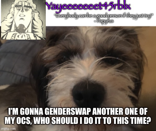 Yayeeeeeeet45rblx announcement | I’M GONNA GENDERSWAP ANOTHER ONE OF MY OCS, WHO SHOULD I DO IT TO THIS TIME? | image tagged in yayeeeeeeet45rblx announcement | made w/ Imgflip meme maker