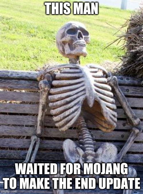Waiting Skeleton | THIS MAN; WAITED FOR MOJANG TO MAKE THE END UPDATE | image tagged in memes,waiting skeleton | made w/ Imgflip meme maker