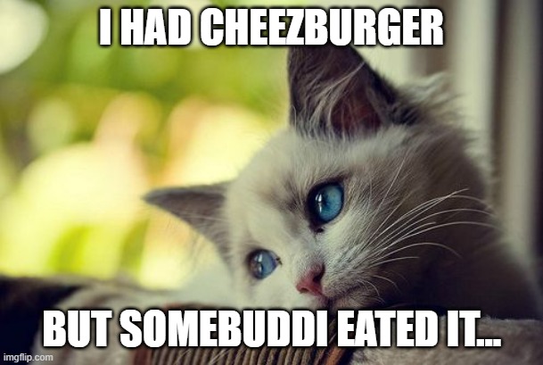 Pity the loss of the cheezburger. | I HAD CHEEZBURGER; BUT SOMEBUDDI EATED IT... | image tagged in memes,first world problems cat,i can has cheezburger cat | made w/ Imgflip meme maker