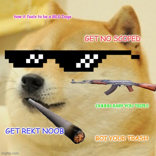 Doge Meme | how it feels to be a MLG Doge; GET NO SCOPED; OHHHH BABY YOU TRIPLE; GET REKT NOOB; BOI YOUR TRASH | image tagged in memes,doge | made w/ Imgflip meme maker