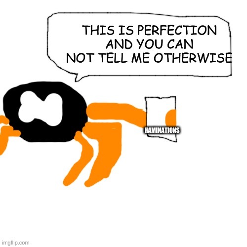 Keith perfection | HAMINATIONS | image tagged in keith perfection | made w/ Imgflip meme maker