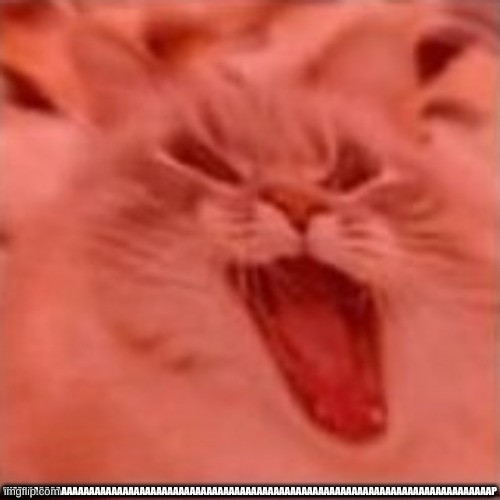 when the | WAZAAAAAAAAAAAAAAAAAAAAAAAAAAAAAAAAAAAAAAAAAAAAAAAAAAAAAAAAAAAAAAAAAAAAAAAAAAAAAAAAAAAAP | image tagged in when the | made w/ Imgflip meme maker