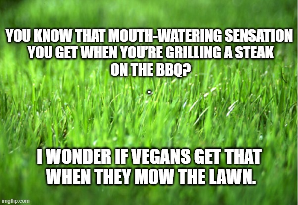 grass is greener | YOU KNOW THAT MOUTH-WATERING SENSATION
 YOU GET WHEN YOU’RE GRILLING A STEAK
 ON THE BBQ?

. I WONDER IF VEGANS GET THAT
 WHEN THEY MOW THE LAWN. | image tagged in grass is greener | made w/ Imgflip meme maker